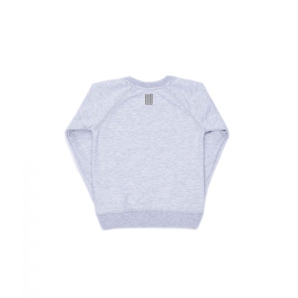 web_серый_свет_дет_back-min