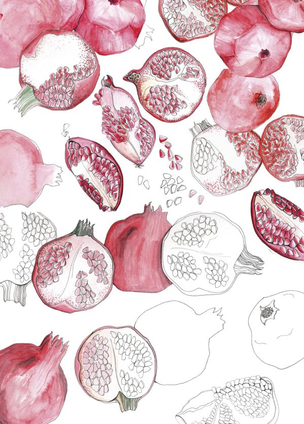 pomegranate-o.wall_2