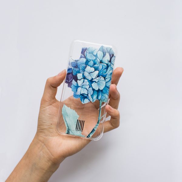 case_gortenziya_transp_1