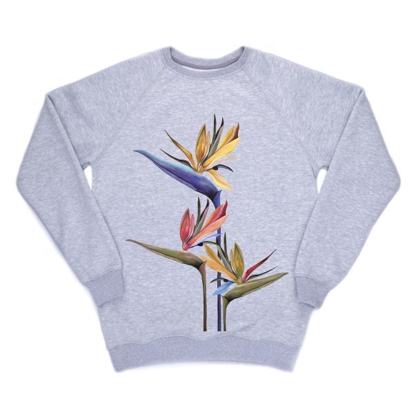 стреліція-600×600